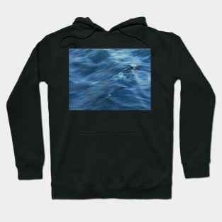 A River Flows Gently By Hoodie